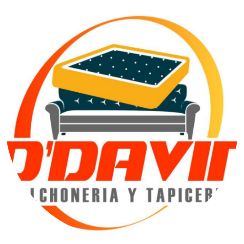 Logo D' David Tapicería